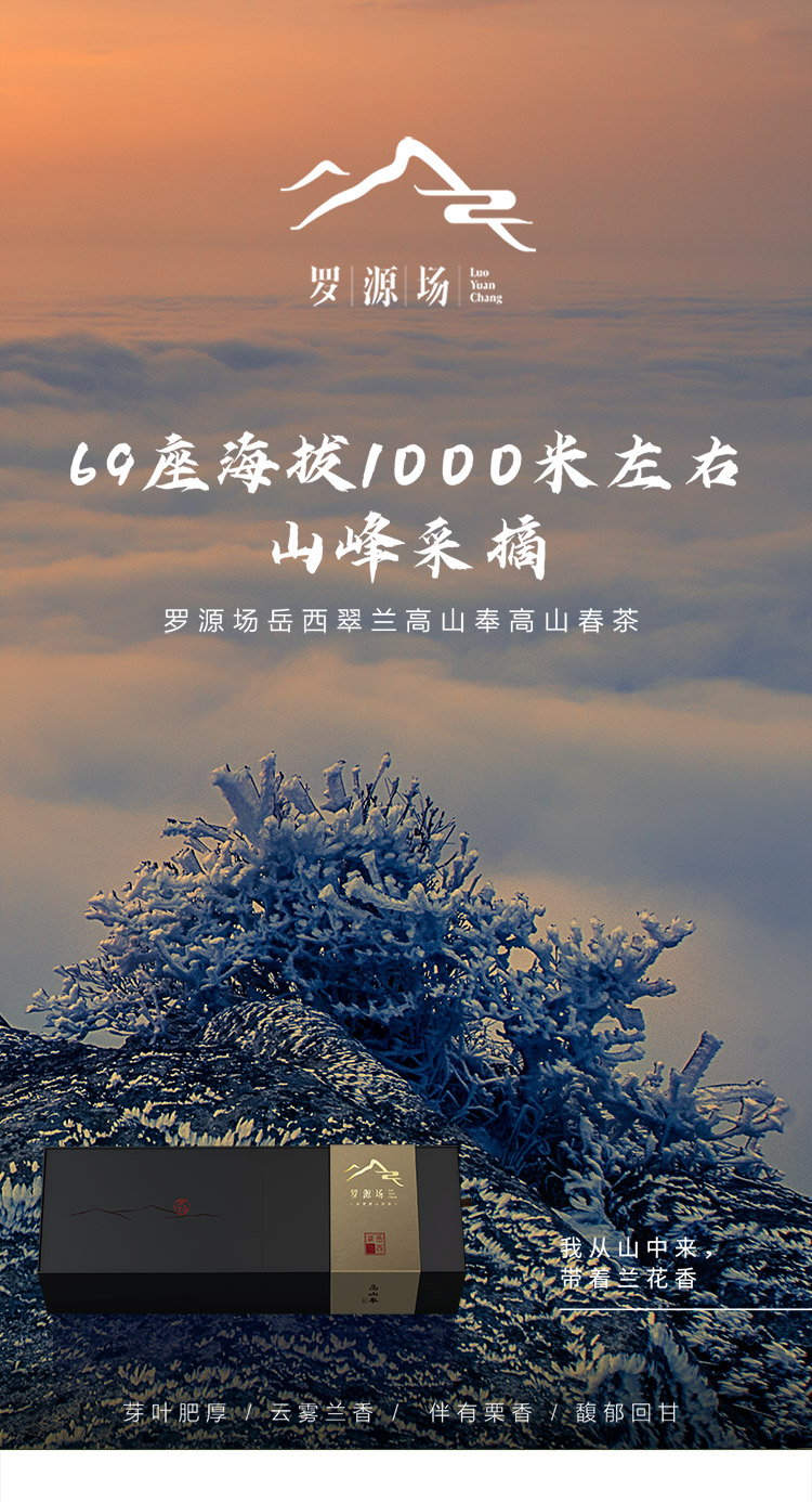 林兰芳牌岳西翠兰特级