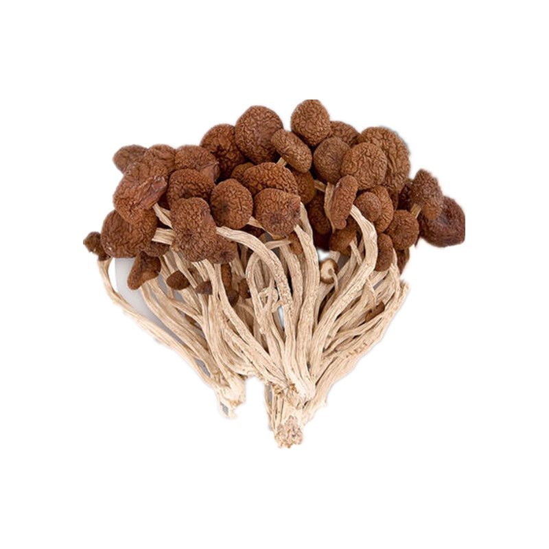 安徽岳西 华之慧 茶树菇（不开伞）200g