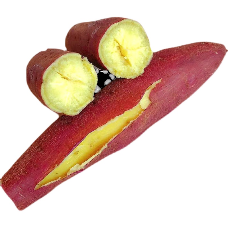 云上岳西 | 板栗红薯 产自大别山农家自种 5斤装